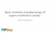 Basic anatomy and physiology of organs involved in satietywpage.unina.it/fogliano/Slides FIPDes Seminars/Vitaglione... · increases blood supply to digestive organs . ... functions