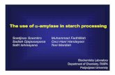The use of αααα--amylase in starch processingamylase in ...chemistry.unpad.ac.id/isc-proceeding/2008/Pdf/PL PPT/Soetijoso... · The use of αααα--amylase in starch processingamylase
