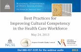 Best Practices for Improving Cultural Competency in the · PDF file · 2013-05-30Best Practices for Improving Cultural Competency in the Health Care Workforce ... NE Portland Area
