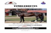 TUMBLEBRUTUS - Haras Mocito Guapomocitoguapo.cl/padrillos/Tumblebrutus.pdf · TUMBLEBRUTUS, ganó La ... Padrillo), HIGH YIELD (Toyota Blue Grass S - ... Champagne Lanson Sussex S