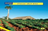 guide Pinar del Río - · PDF fileCOORDINATION: Troadys miranda ... Pinar del Río is recognized as the capital of cigar ... Afro-Cuban shows, massage service and tennis court. The