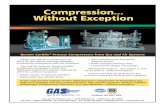 Compression Without Exception - Gas & · PDF fileBurton Corblin® Process Compressors from Gas and Air Systems When you specify a compressor to API 618, you expect the high reliability