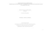 INVESTIGACION DE MERCADOS VIABILIDAD DE · PDF file1 investigacion de mercados viabilidad de produccion y comercializacion de salsas de aji en la ciudad de cali andrés ernesto portilla