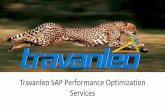 SAP Performance Optimization - Travanleotravanleo.com/pdf/Travanleo SAP Performance Optimization...Why SAP Performance Optimization •With time, come changes, in your SAP system too