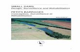 SMALL DAMS - Comitê Brasileiro de Barragens ... · PDF fileThe ICOLD – International Committee on Large Dams decided to prepare a bulletin on small ... 2.8 Inflatable dam type 2.9