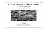 Africanized Honey Bees in Arkansas - MP451 - uaex. · PDF fileAfricanized Honey Bees in Arkansas. Training ... Dave Langston, “Africanized Honey Bees in Arizona: ... finding Africanized