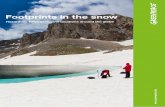 Footprints in the snow -  gifter/Dokumenter... · PDF filedoor adventurers1 for their advertising. Yet ... Greenpeace tests outdoor clothes for perfluoriant- ...