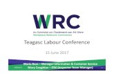 Teagasc Labour Conference · PDF fileTeagasc Labour Conference 15 June 2017 ... An employee must be given a payslip with each payment of wages ... • Format: – An allowance, or