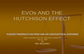 EVOs AND THE HUTCHISON EFFECT - AND THE HUTCHISON EFFECT NUCLEAR TRANSMUTATION FROM LOW-VOLTAGE ELECTRICAL DISCHARGE Paper presented at the MIT Cold Fusion Conference May 21, 2005