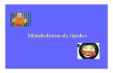 Metabolismo de lípidos - Bioquimica Kinesiologia UNLaM · PDF fileBIOSINTESIS DE ACIDOS GRASOS MONOINSATURADOS Palmitoil-CoA AGM se sintetizan en el REL Intervienen desaturasas Se