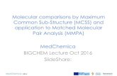 Molecular comparisons by Maximum Common Sub …bigchem.eu/sites/default/files/School1_Dossetter.pdf · Molecular comparisons by Maximum Common Sub-Structure ... Molecule Fragment