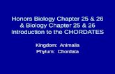 Introduction to the CHORDATES - Paulding County … Basic Characteristics of Chordates • (Some of these characteristics may not be present entire life cycle of animal!) 1. Dorsal,