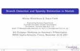 Branch Detection and Sparsity Estimation in EuroAd Workshop - Marina... · PDF fileBranch Detection and Sparsity Estimation in ... Sparsity estimation for Jacobian function y = y(x(1),x