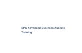 epc advanced business v13 - bridge-project.eu advanced business v13.pdf · EPC Advanced Business Aspects Training. Chapter 1 ... GSM Standards allow ... Be frank about what is working