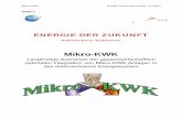 201007 Mikro KWK Endbericht - ffe.de · PDF fileSynopsis: Langfristige ... Stirling engines are lying at a ... The dimensioning of micro-CHP technologies (using the gas engine example)