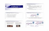 Energy Energy Transfer in the Body - Simon Fraser Universityleyland/Kin143 Files/Energy Systems.pdf · Energy Transfer in the Body ... Net production of 10 chemical reactions ...
