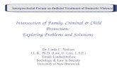 Intersection of Family, Criminal & Child Protection ... · PDF fileIntersection of Family, Criminal & Child Protection: Exploring Problems and Solutions