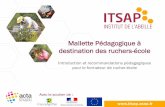 Mallette Pédagogique à destination des ruchers-écolemallette-pedagogique.itsap.asso.fr/wp-content/uploads/2017/12/PPT... · école, qui partagent bénévolement leur passion pour