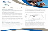 Plant Tissue Analysis - NRM is Plant Tissue Analysis? Plant tissue analysis reveals the health of your crops on a nutrient basis. Used within an integrated nutritional management program