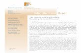 The Present Shia-Sunna Divide: Remaking Historical Memory · PDF fileApril 2007 No. 19 The Present Shia-Sunna Divide: Remaking Historical Memory Dr. Dror Ze’evi As Marshall Sahlins