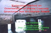 Estimation Method on Deterioration of Marine Concrete ... · PDF fileconcrete cracks due to the corrosion appear ... used in structure deteriorates, negligible decay in any performance