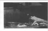 · PDF fileHund med et stort kuld hvalpe i hestestalden. Maleri af S. Simonsen. Hunden Canis familiaris Navne: heraldik, kalkmalerier; historisk s. 43; dan