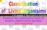 Classification is the grouping of objects based on ...karenhilliard.weebly.com/uploads/1/6/3/5/16353128/classification... · Examine the evolutionary basis of modern classification