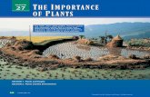 CHAPTER 27 THE IMPORTANCE OF PLANTS - … IMPORTANCE OF PLANTS 545 PLANTS ANDPEOPLE Plants are essential to our survival because they produce virtually all our food. We eat plants