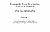 Recap………………. eukaryotic RNA polymerase II … lecture 2.pdf · Eukaryotic RNA Polymerase II is a multi subunit complex . Unlike prokaryotic RNA polymerase sigma subunit,
