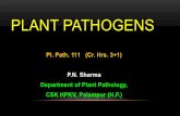 PLANT PATHOGENS - Hill Agric. 2 Plant... · Viroids, RLO’s, Parasitic Plants, Nematodes ... MYCOPLASMA (PHYTOPLSMA): (DOI ET AL., ... PRIONS: PRUSINER (1982)