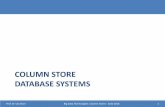 COLUMN STORE DATABASE SYSTEMS - fbi Store Database Systems: ... + easy to insert/update a record + only need to read in relevant data ... Commercialization through Sybase IQ