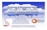 Ensuring & Monitoring Secure Storage for Carbon ... · PDF fileStorage for Carbon DioxideStorage for Carbon Dioxide Carbon Capture and Storage ... – First indicator, monitor small