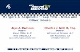Mergers & Acquisition: Lap Two – NOLs and Other … IPT Annual Conference 2017 IPT Annual Conference – Charlotte, North Carolina–Charlotte, North Carolina Mergers & Acquisition: