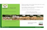 Barnfeet 5 Year Business Plans - Sustainability Partnershipssustainabilitypartnerships.net/.../Barnfeet-5-Year-Business-Plans.pdf · Bangar, La Union, Philippines ... Expand Piggery‐