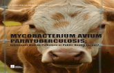 MYCOBACTERIUM AVIUM PARATUBERCULOSIS - · PDF filemycobacterium avium paratuberculosis: infrequent human pathogen or public health threat? ii board of governors, american academy of