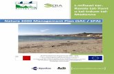 Natura 2000 Management Plan (SAC) tar-Ramla tat-Torri u tal... · L-Inħawi tar-Ramla tat-Torri u tal-Irdum tal-Madonna Natura 2000 Management Plan (SAC / SPA) Rural Development Programme