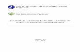 TECHNICAL GUIDANCE ON THE CAPPING OF SITES · PDF fileTECHNICAL GUIDANCE ON THE CAPPING OF SITES UNDERGOING REMEDIATION. ... requirements established by the Technical Requirements