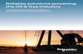 Reliable solutions powering the Oil & Gas · PDF file · 2018-02-14Reliable solutions powering the Oil & Gas industry ... Services to improve and optimize your installation Pages