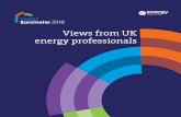 Views from UK energy professionals · PDF fileViews from UK energy professionals . ... oil and gas industry, ... or public sector with a stake in the future of UK energy