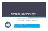 Adrenal gland insufficiency seminar MBBS 3 - · PDF fileParathyroid gland –idiopathic hypoparathyroidism Pernicousanaemia. Addison Disease - Pathogenesis ... Adrenal gland insufficiency