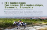 SHOWS AND EVENT FEI Endurance - Tutto · PDF fileSHOWS AND EVENT S I n Samorin, ... including some top riders like Marijke Visser (NLD) ... to wander the desert for miles without getting