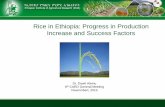 Rice in Ethiopia: Progress in Production Increase and Success Factors · PDF file · 2015-11-27Rice in Ethiopia: Progress in Production Increase and Success Factors Dr. Dawit Alemu