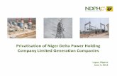 Niger Delta Power Holding Limited Generation · PDF fileCompany Limited Generation Companies Lagos, Nigeria ... infrastructure, as well as the infrastructure required ... Niger Delta
