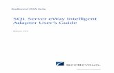 SQL Server eWay Intelligent Adapter User’s Guide SQL Server eWay Intelligent Adapter User’s Guide 3 SeeBeyond Proprietary and Confidential Contents Chapter 1 Introduction 6 About