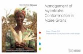 Management of Mycotoxins Contamination in Maize …aflatoxinpartnership.org/uploads/PPM2016 - Nestle Continental...Management of Mycotoxins Contamination in ... Storage & Pest Control