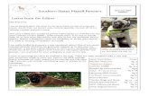 Southern States Mastiff Fanciers - ssmfmastiff.org Newsletter Summer 2007ForWebsite.pdf · Southern States Mastiff Fanciers ... Tami Sholes and Vicki Hix Ari ... your wonderful Mastiff