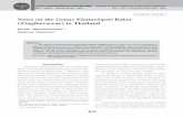 Original Article Notes on the Genus Elettariopsis Baker ...thaicamdb.info/Downloads/PDF/ปี5ฉ3(267).pdf · A. testaceum Ridl., A. biflorum Jack, A. uliginosum Koenig). ... Khao