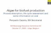 Algae for biofuel production - IEA · PDF fileAlgae for biofuel production ... biodiesel Nutrients, CO 2, water, ... production of algae is analyzed with respect to life-cycle emissions