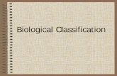 Seven Levels of Taxonomic Classification - Blue Valley … Linnaean System of Classification • The system is hierarchical. – Larger groups are more general and smaller groups are