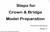 Steps for Crown & Bridge Model Preparation - Randwick …randwick.sydneyinstitute.wikispaces.net/file/view/Steps… ·  · 2009-07-03Crown & Bridge Model Preparation Stage 3. ...